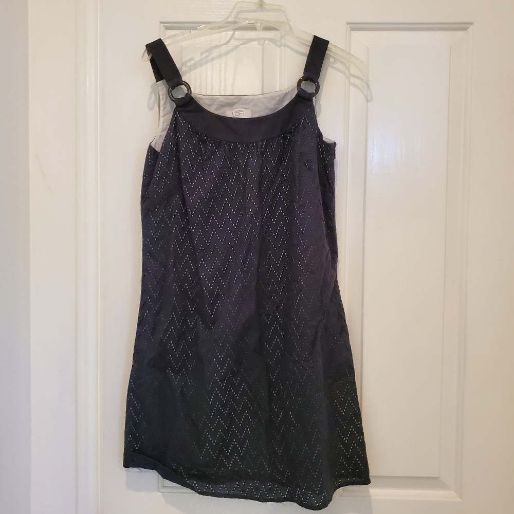 Ann Taylor Loft Eyelet Dress